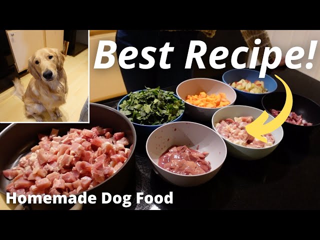 Golden Retriever Health and grooming Tips