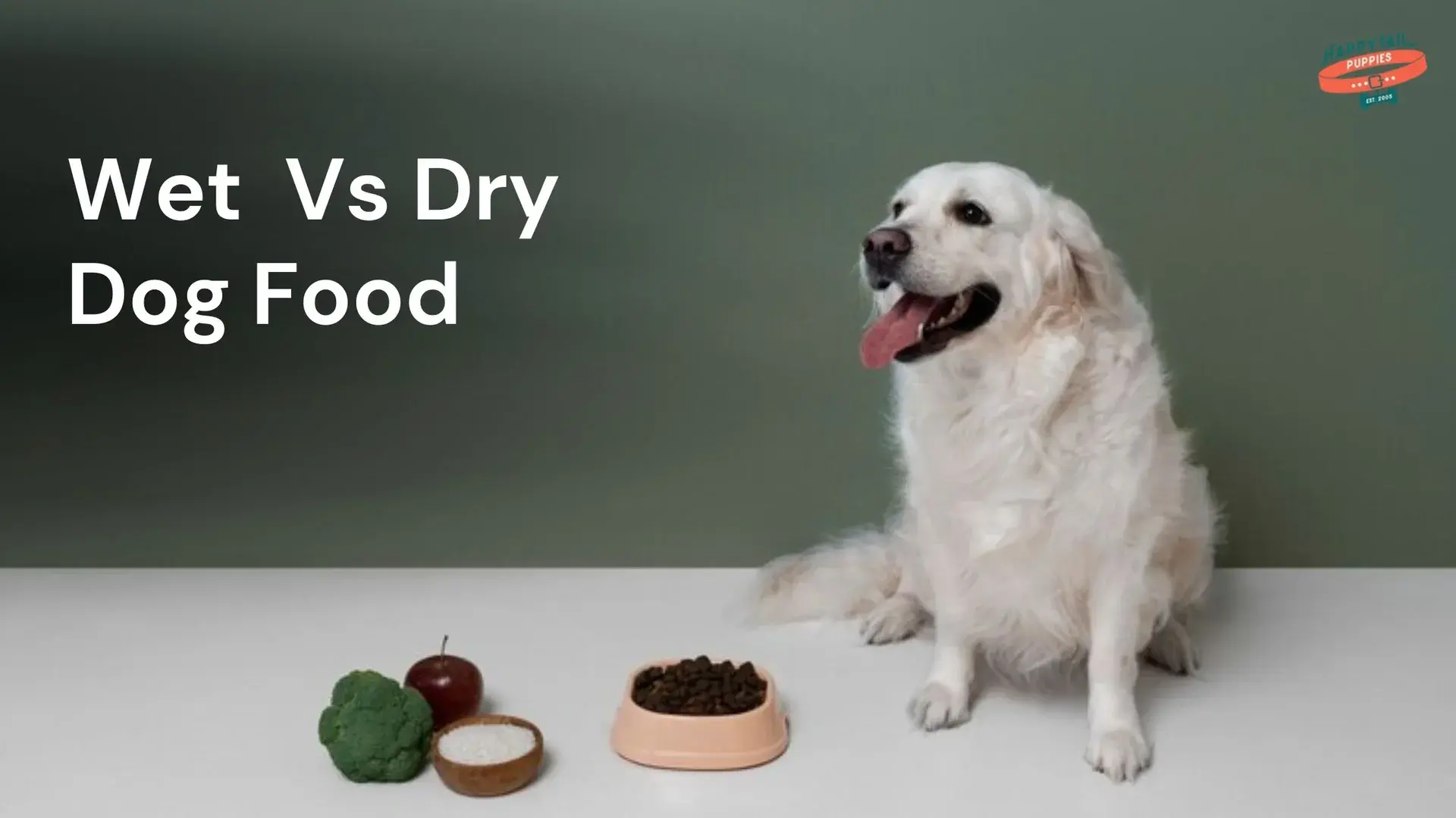 Best Dry and Wet Dog Food: Ultimate Feeding Guide 2026