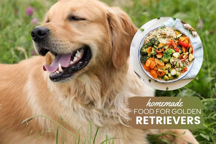 Homemade Food for Golden Retriever
