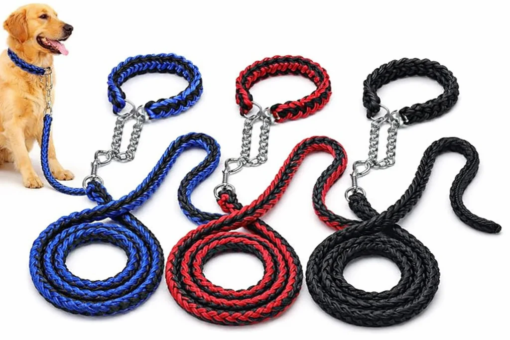 Dog Leash