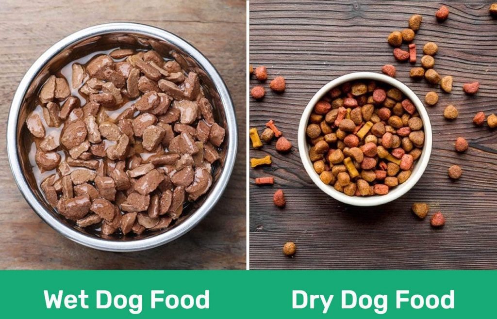 wet vs dry dog food