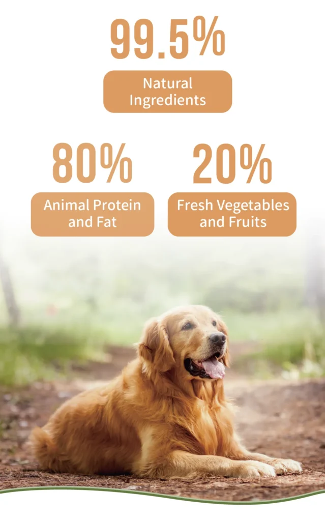 adult golden retriever feeding